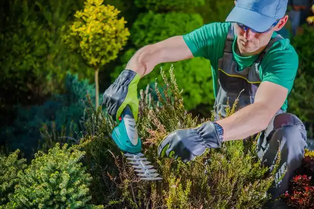 landscaping services Sunfield